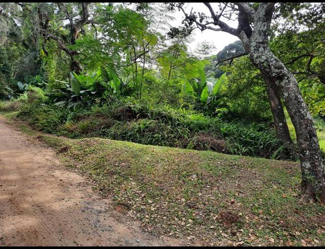 LAND FOR SALE IN LEISURE BAY